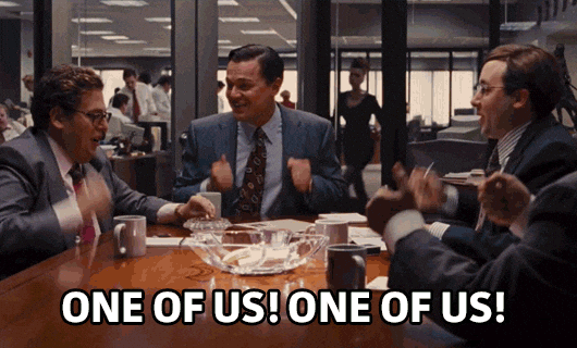 developer team